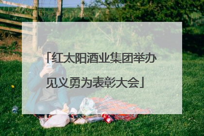 红太阳酒业集团举办见义勇为表彰大会